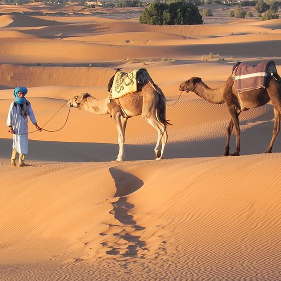 Tour de 5 Días desde Casablanca a Marrakech